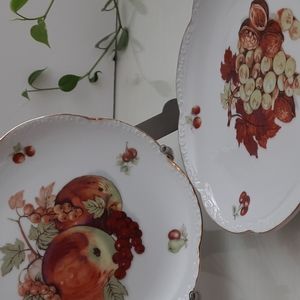 Vintage Del Coronado NASCO Japan Salad Dessert Plates Gold Scallops Fruit Nuts